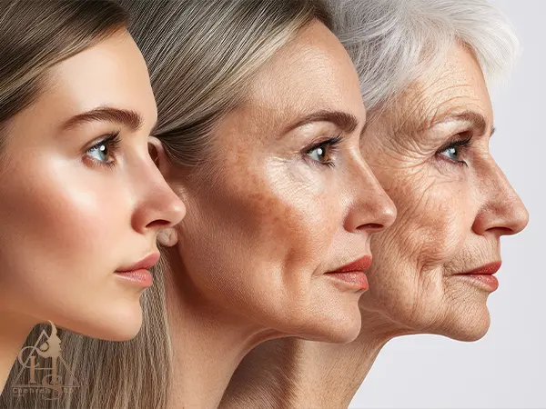 تاثیر سن زیباجو بر میزان ژل موردنیاز برای تزریق گونه